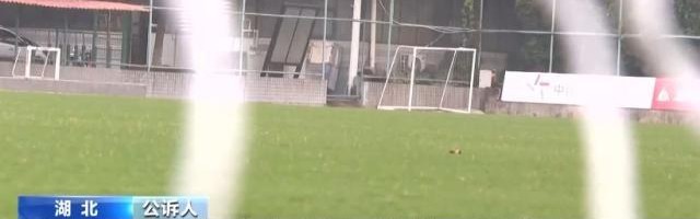 蓝鲸体育APP-超过二十家俱乐部行贿 恒大、权健、华夏幸福被点名